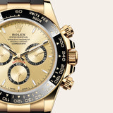 ROLEX DAYTONA GOLD BLACK (CELL MODEL)