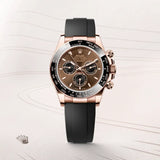 ROLEX DAYTONA CHOCOLATE BLACK (CELL MODEL)